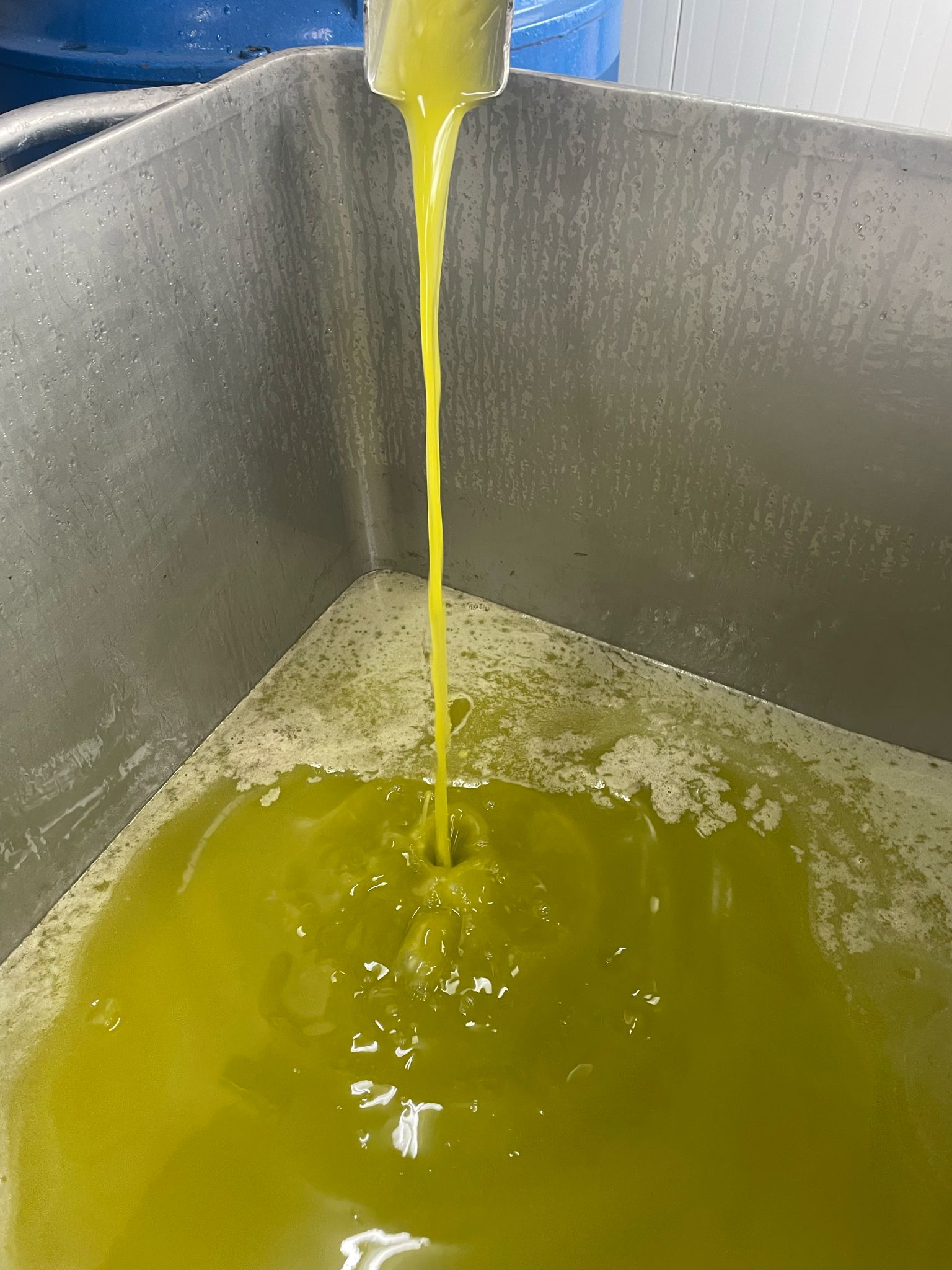 Aceite de Oliva Virgen Extra Fuenteoliva 5l. caja de 4 uds. Nueva Cosecha - Imagen 2