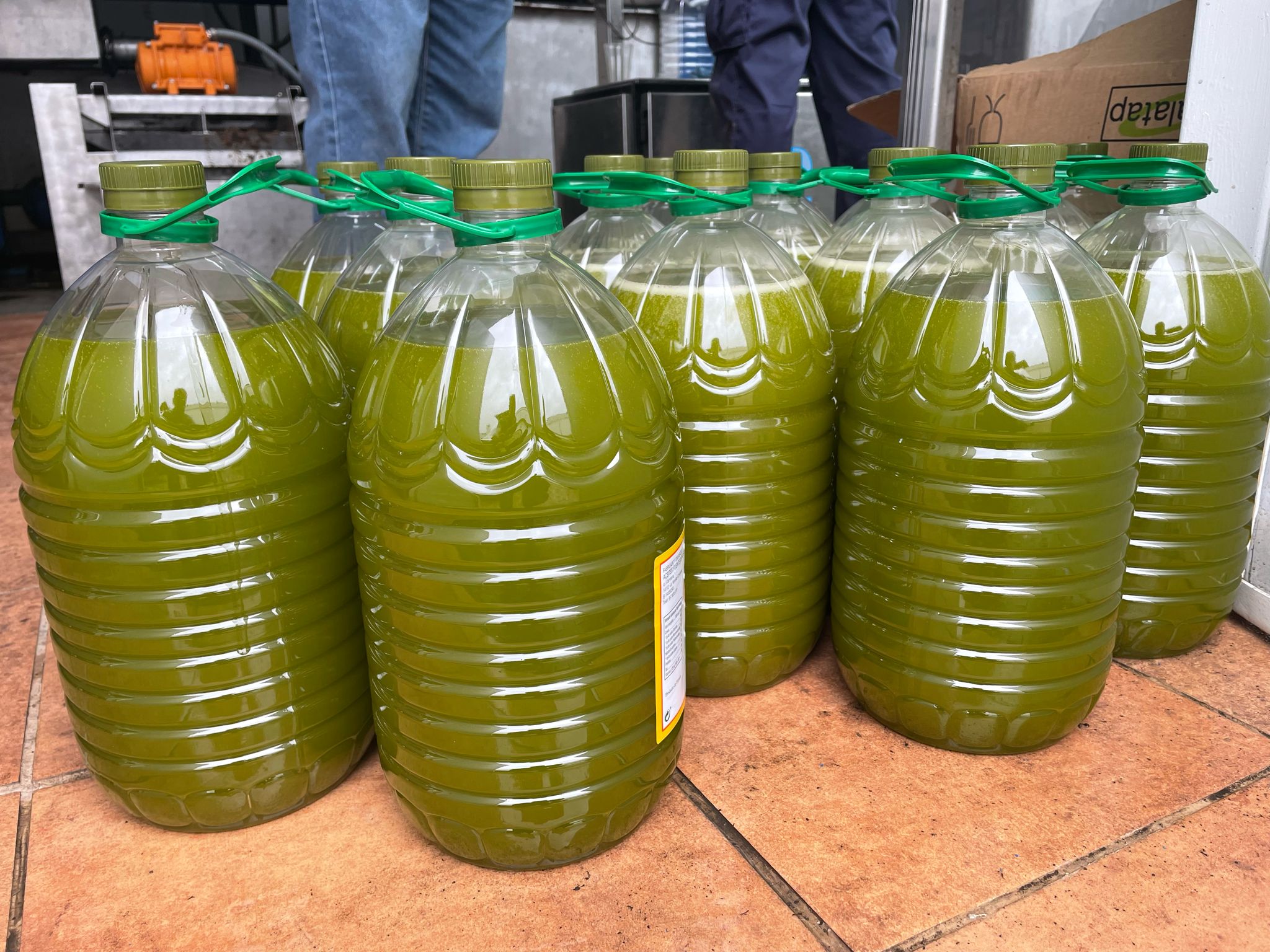 Aceite de Oliva Virgen Extra Fuenteoliva 5l. caja de 4 uds. Nueva Cosecha - Imagen 3